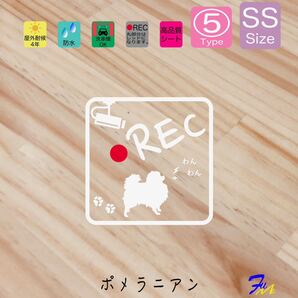 ポメラニアン ドラレコステッカー 05 SSサイズ 全28色から選べる #drFUMI #dFUMI #ddFUMI #ddFUMIポメラニアン #ドラレコ
