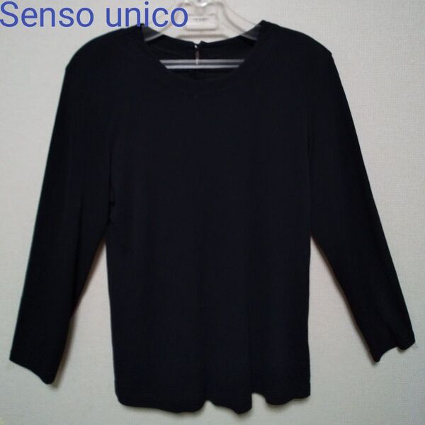 センソユニコ Senso unico ブラウス プルオーバー 長袖 大きいサイズ クルーネック 黒 オールシーズン