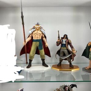 ワンピース POP フィギュア Portrait.Of.Pirates