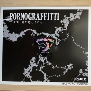 ギターピック1枚です。