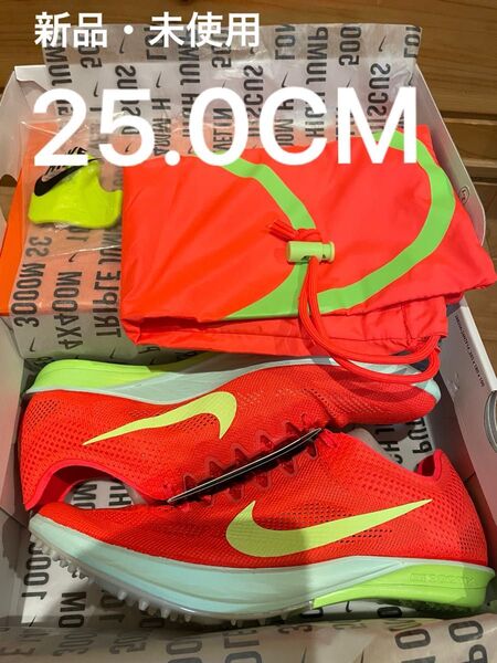 NIKE ドラゴンフライ2 25.0
