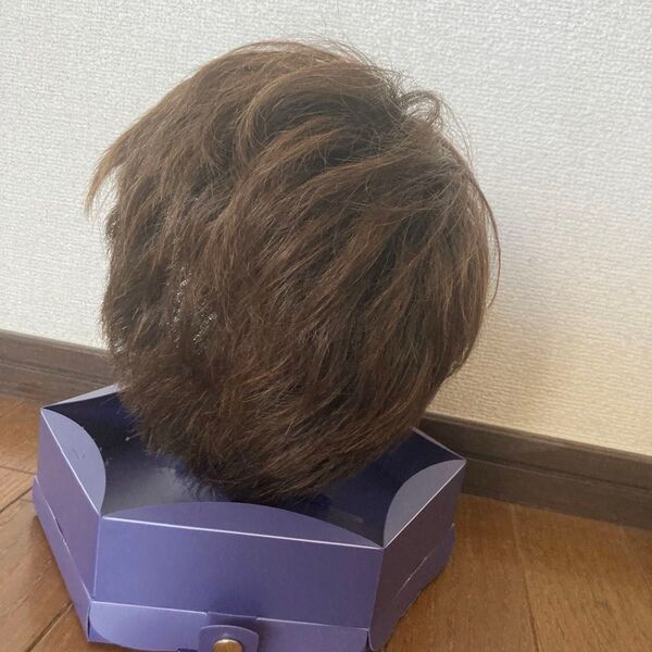 ブラウン ショート高級ウィッグ 人毛ミックス フォンテーヌ VR09 R441 フルウィッグ かつら ウィッグ ヘアドネーション