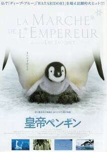 映画チラシ『皇帝ペンギン』2005年公開 リュック・ジャケ/ロマーヌ・ボーランジェ