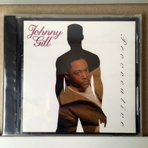 Johnny Gill「Provocative」　＊1993年リリース・4thアルバム　　＊NEW JACK SWINGから泣きのバラードまで充実の作品　＊国内盤