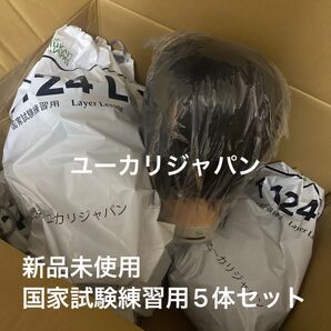 国家試験練習用 ウィッグ5体セット