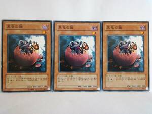 黒竜の雛 SOD ノーマル 遊戯王 3枚セット