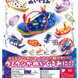 ウミウシのぬいぐるみ アオウミウシ