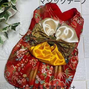 犬服 着物