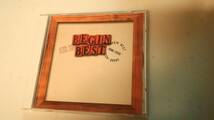 沖縄　BEGIN☆ベスト盤☆【BEGIN BEST 1990-2000】_画像1