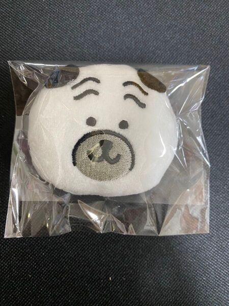 -500円クーポン ナガノ展 おかおぬいぐるみバッジ パグさん パグ