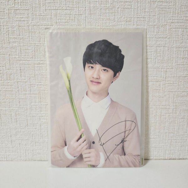 EXO D.O. ギョンス NATUREREPUBLIC ネイリパ ポストカード