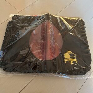 ディズニー リゾート 非売品 ツイステッドワンダーランド トートバッグ