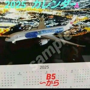2025 JAL 航空機模型 フライト カレンダー 東京 夜景 1枚タイプ