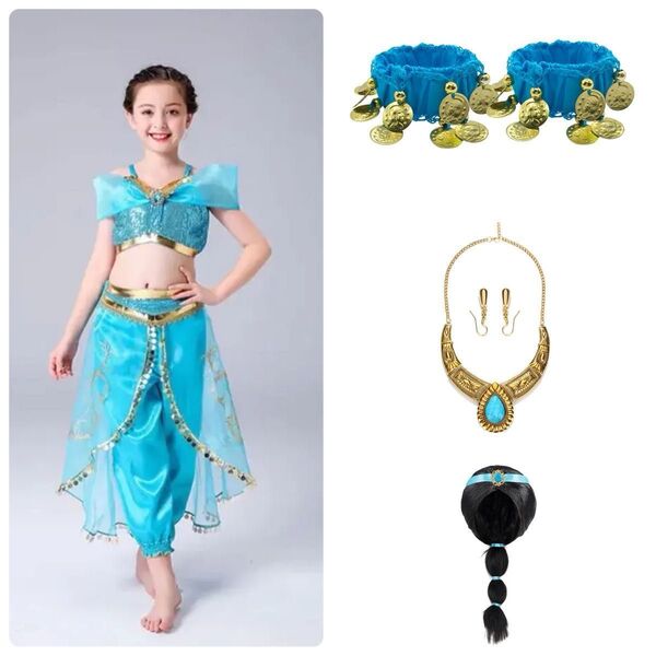 130 ジャスミン 姫 ドレス ウィッグ アクセサリー セット☆ かつら コスプレ ネックレス ブレスレット ピアス プリンセス