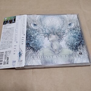 A Ghost of Flare Iris メタルコア