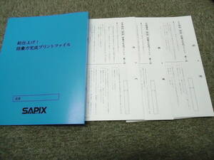 サピックス　国語　 語彙力完成プリント（ファイル付き）（SS特訓14回/冬期講習6回/正月特訓4回）2018年度　書き込み小　良品