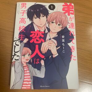 弟が連れてきた恋人は男子高校生でした 愛葉もーこ
