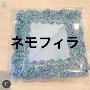 近沢レース ネモフィラ
