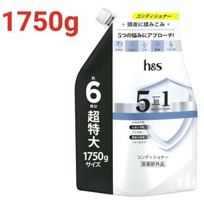 h&s 5in1 コンデイショナー 詰替 超特大 1750g エイチアンドエス