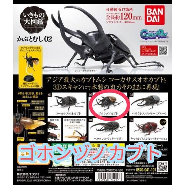 【新品】いきもの大図鑑 かぶとむし02 カブトムシ いきもの図鑑 リアルフィギュア ゴホンヅノカブト オオカブト ガチャガチャ