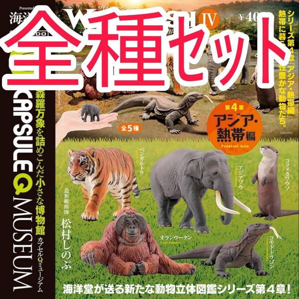 全種セット【新品未使用】カプセルQミュージアム WILD RUSH 真・世界動物誌Ⅳ アジア・熱帯編 ガチャガチャ カプセルトイ