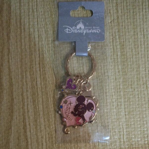 ディズニーランド ミニー キーホルダー 未使用