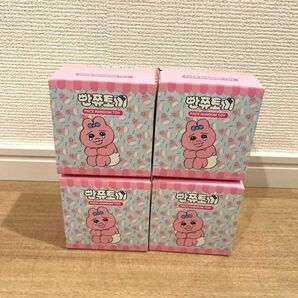 おぱんちゅうさぎ 韓国限定 POPUP STORE