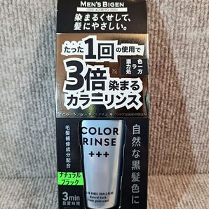 カラーリンス メンズビゲン トリプルプラス(+++) ナチュラルブラック 120g×1本