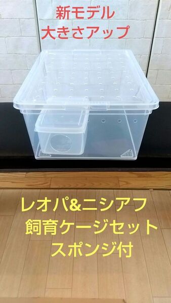 手作り爬虫類ケージセット レオパ ニシアフ スポンジ付き。水入れなし。