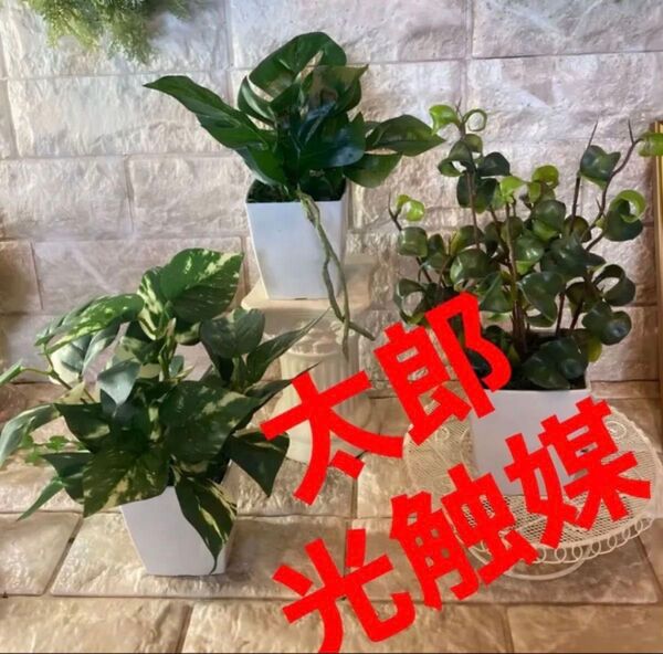 光触媒 人工観葉植物 ウォールグリーン フェイクグリーン 3種白プラajmd