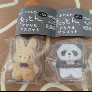 ふわふわたっとん ぱんだとうさぎ アクリルマスコット ガチャ