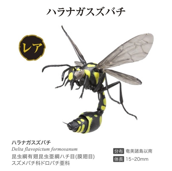 【送料無料】いきもの大図鑑 とっくりばち ハラナガスズバチ