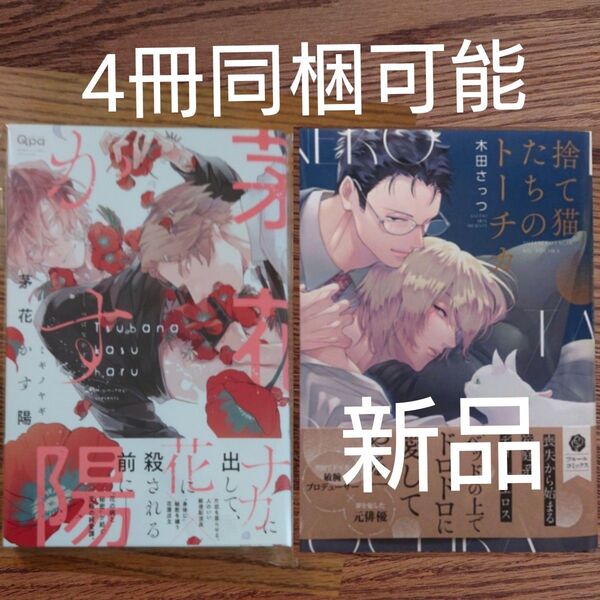 2冊セット!!美品☆芽花かす陽/ミギノヤギ/捨て猫たちのトーチカ/木田さっつ/BL 漫画☆