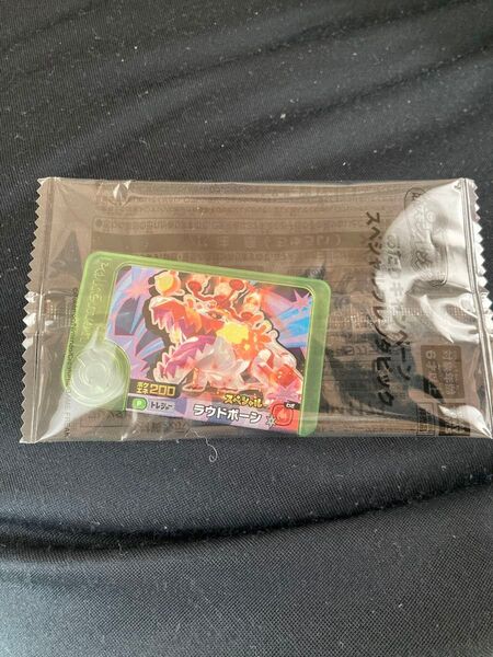 ポケモンフレンダ ラウドボーン スペシャルピック