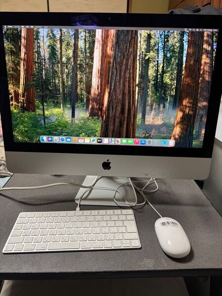 iMac (Retina4K 21.5inch 2019)