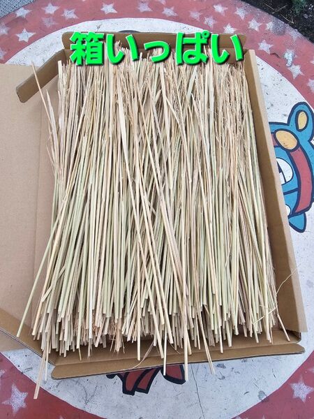 安心安全 ネコポス 箱いっぱい 乾燥藁 工作 納豆作り 無農薬稲わら 稲藁 ワラ自然栽培 家庭菜園 ペットの敷き藁 ナチュラル