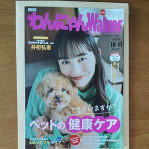 井桁弘恵 わんにゃんWalker わんにゃんウォーカー ドラマNEXT「私の町の千葉くんは。」主演!いげたひろえ