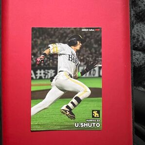 【プロ野球チップス2023】周東佑京