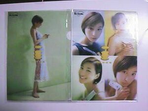 * not for sale * Hirosue Ryouko clear file 2 kind set A( new goods )