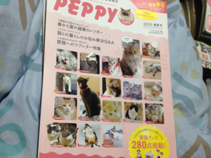 peppy 猫 ネコ 2015春夏号 ペット雑誌 新品