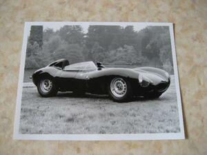 1955 Jaguar D Тип Фото / Ле -Манс