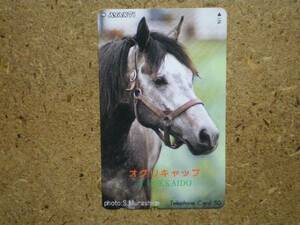 I435*o Gris cap horse racing telephone card 