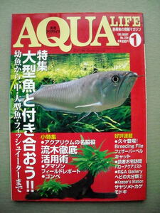 魚 月刊アクアライフ 1999/1 大型魚