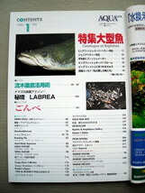 魚 月刊アクアライフ 1999/1 大型魚_画像2