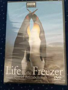 700 Life in the Freezer DVD Import 南極大陸の自然