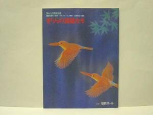 ［演劇パンフ］きららの指輪たち（名鉄ホール 1998/斉藤由貴/戸川京子/有森也実/高嶺ふぶき/黒田アーサー/羽場裕一/京晋佑/大塚道子