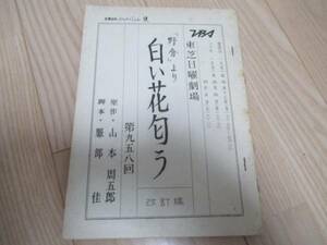 吉永小百合・主演・東芝日曜劇場「白い花匂う」台本｛958回｝1975年