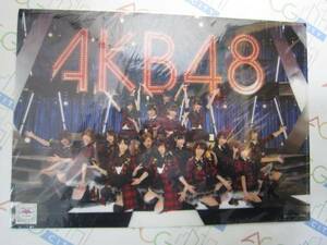 即決 新品 未開封 AKB48 重力シンパシー クリアファイル No.13