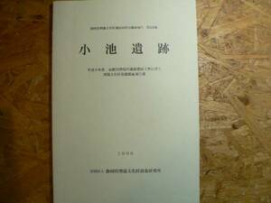 小池遺跡 平成9年東駿河湾環状道路建設工事に伴う埋蔵文化財発掘調査報告書 / 静岡県 1998年