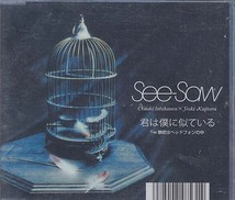 ガンダムSEED『君は僕に似ている』(SeeSaw)_画像2